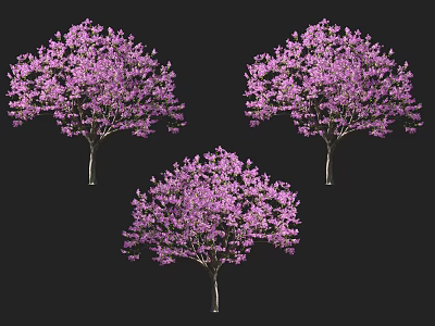Three Arbors With Vibrant Purple Flowers In Full Bloom 3d model