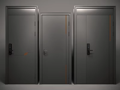 Gray Security Doors with Single and Double Panel Styles Modern Design and Secure Lock Systems 3d model