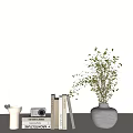 Modern Minimalist Decorative Ornament Combination With White Vase Green Foliage Books And Camera