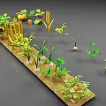 Various Plants Growing in Soil Including Strawberry Corn Wheat Potato Beans Pumpkin and Tomato