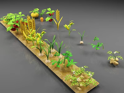 Various Plants Growing in Soil Including Strawberry Corn Wheat Potato Beans Pumpkin and Tomato 3d model