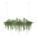 Hanging Basket Plants With Lush Green Foliage And Trailing Vines For Indoor Home Decor