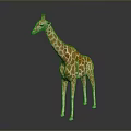Realistic Giraffe Model With Brown Spots Long Neck And Reflective Base 3d model