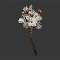 Beautiful Cherry Blossom Bouquet With White Pink Flowers Red Bud Brown Stem And Grey Background