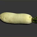 Fresh White Radish With Green Leaves On Gray Reflective Surface 3d model