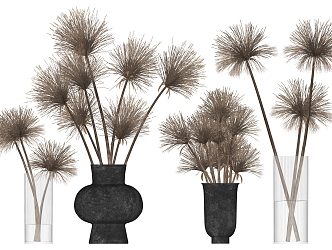 Modern Vase Dried Flower Combination 3d model