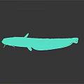 Brown Spotted Aquatic Fish With Long Body Shiny Surface And Fins