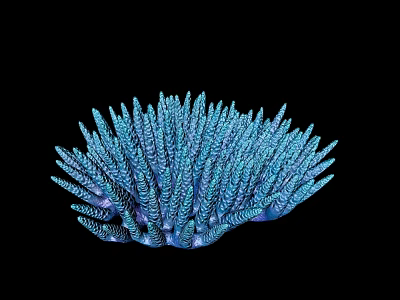 Vibrant Blue Aquatic Animal Coral Colony With Spiky Tentacles On Black Background 3d model