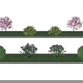 Neatly Arranged Garden Landscape With Pink Flowering Trees Green Shrubs And Purple Flowers