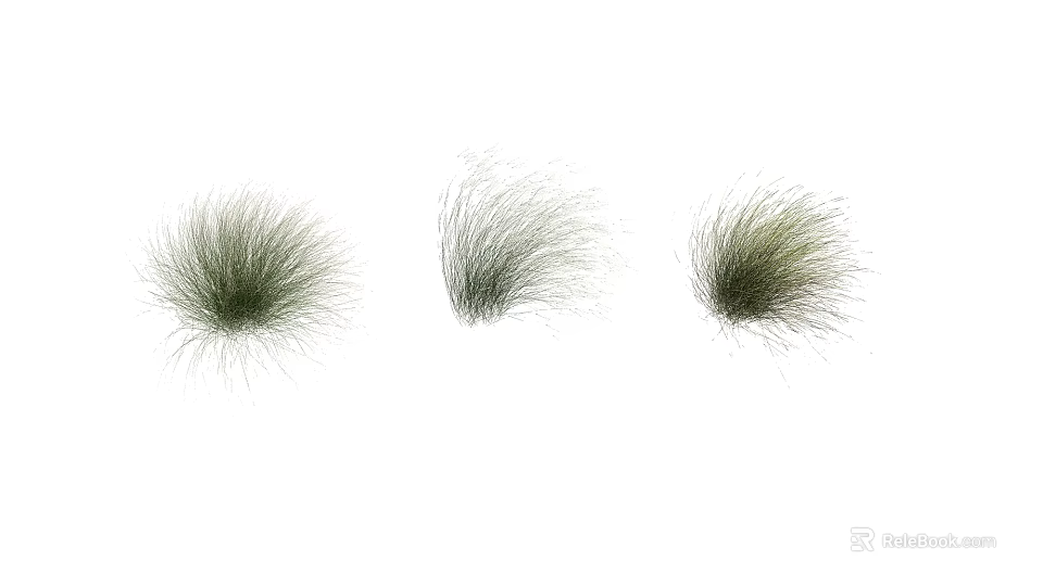 Decorative Ornamental Grass With Three Different Shapes Green Foliage And Fluffy Texture 3d model 