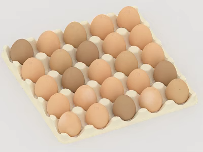 Fresh Brown Eggs in Paper Carton with Various Shades and Neat Arrangement 3d model