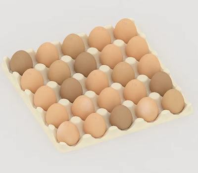 Fresh Brown Eggs in Paper Carton with Various Shades and Neat Arrangement 3d model