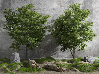 Tall Arbor Trees Against Gray Wall With Stones Logs And Green Grass 3d model