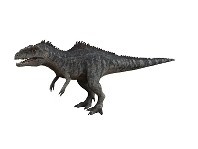 Realistic Dinosaur Model With Spiked Back Sharp Teeth And Textured Skin In Standing Posture 3d model