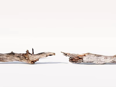 Natural Stone And Wood Driftwood Pieces With Opposing Broken Ends On White Background 3d model
