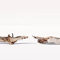 Natural Stone And Wood Driftwood Pieces With Opposing Broken Ends On White Background