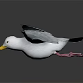 White Seagull With Spreading Wings Black Wing Tips And Yellow Beak In Flight