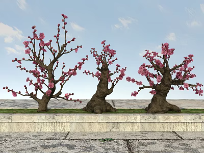 Flowering Trees With Pink Blossoms Thick Trunks On Stone Paved Platform Blue Sky Background 3d model