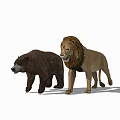 Modern Animal Groups Animals and 3d model