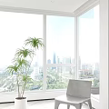 Bonsai Tree in Bright Indoor Setting with Tall Windows Overlooking City View and Natural Light