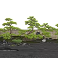 Japanese Garden Features With Pruned Pine Trees Raked Sand Stones Moss and Bamboo Fence
