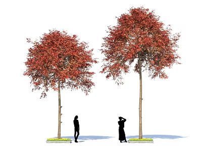 Two Tall Trees with Vibrant Red Leaves and Two People Under Them 3d model