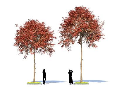 Two Tall Trees with Vibrant Red Leaves and Two People Under Them 3d model