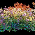 Vibrant Flowering Bush With Purple Yellow Orange Flowers And Green Leaves