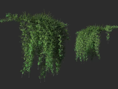 Lush Green Shrubs With Hanging Branches And Dense Foliage On Gray Background 3d model