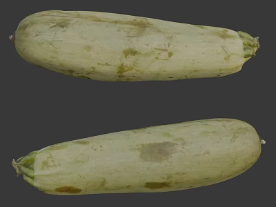Fresh Green Zucchini Vegetables With Natural Spots On Gray Background 3d model