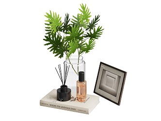 Living Room Ornaments Combination Book Flower Green Plant Glass Bottle Aromatherapy Photo Frame 3d model