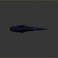 Realistic Blue Fish 3D Render Featuring Red Eyes Shiny Scales And Gray Background