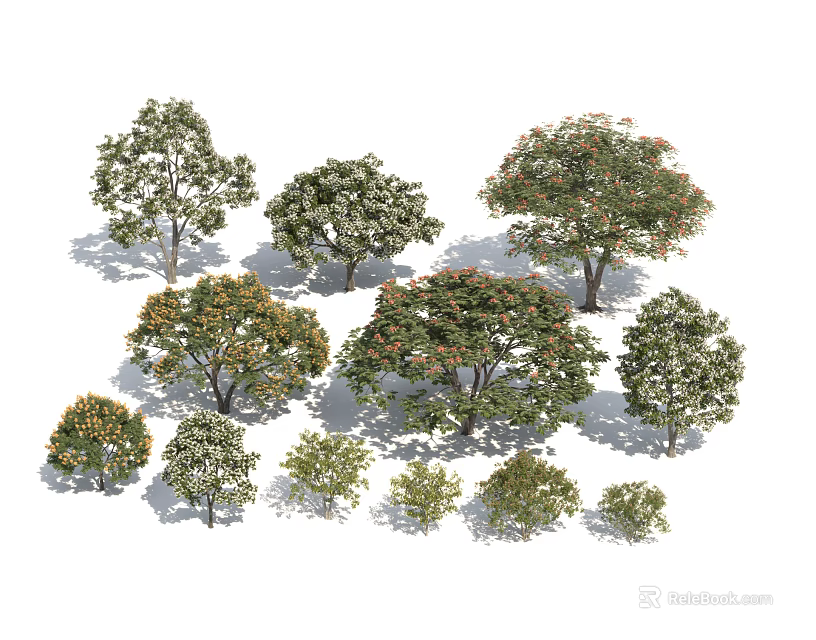 Different Types of Arbor Trees with Various Sizes Green Leaves and Orange Flowers 3d model 