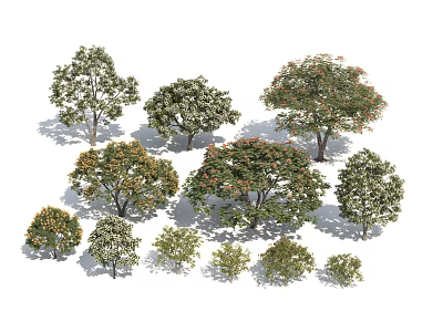 Different Types of Arbor Trees with Various Sizes Green Leaves and Orange Flowers 3d model