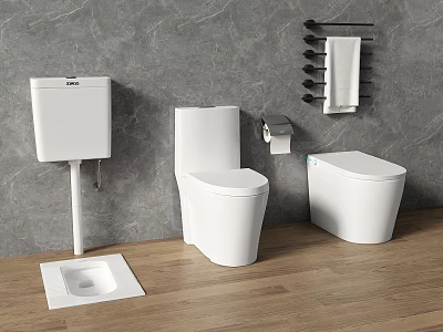 Different Types of Modern Toilet Designs in Contemporary Bathroom with Wooden Floor and Gray Walls 3d model