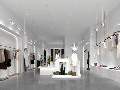 Modern Clothing Store Interior With Apparel Racks Mirror White Counter And Cacti 3d model