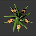 Beautiful Tulips with Yellow Red Gradient Petals Green Leaves in Light Vase on Dark Background