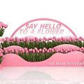 Pink Tulips Photo Spot With Arched Say Hello To A Flower Sign And Pink Pots