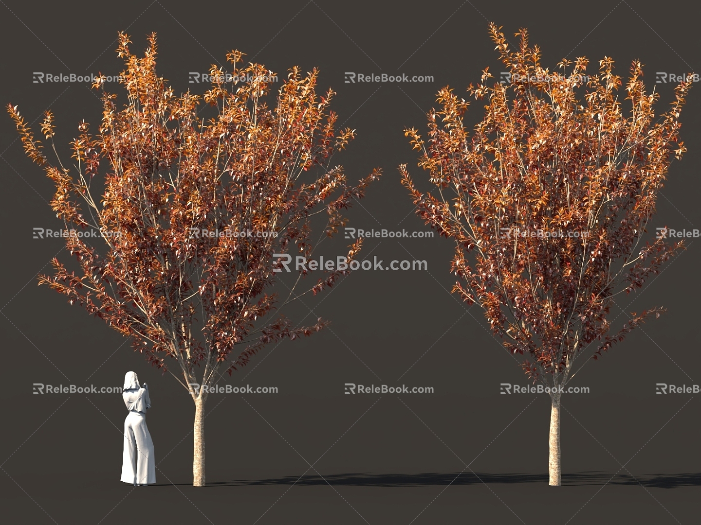 autumn plants fruit trees street trees garden landscape trees solitary tree planting 3d model