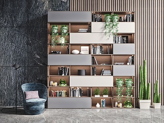 Modern bookcase combination 3d model