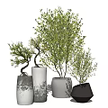 Bonsai and Potted Plants With Various Ceramic Concrete Planters For Indoor Decoration