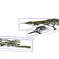 Diverse Arbor Varieties With Lush Green Foliage And Unique Canopy Shapes