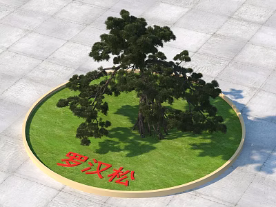 Podocarpus Tree Planted on Circular Lawn with Red Characters and Gray Square Tiles 3d model