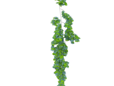 Lush Green Arbor With Climbing Vines And Dense Foliage Natural Growth 3d model