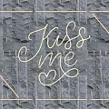 Neon Light Combination Featuring Kiss Me Script Sign With Square Frame On Stone Wall 3d model
