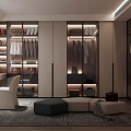 Modern walk-in closet 3d model