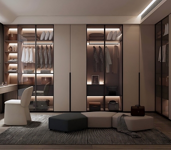 Modern walk-in closet 3d model