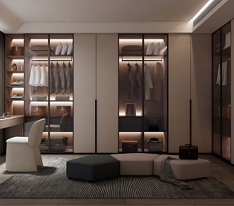 Modern walk-in closet 3d model