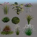Diverse Garden Plant Combinations With Herbs Shrubs Flowering Plants Various Leaf Shapes And Colorful Blooms