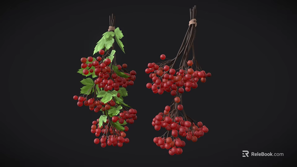 Fresh Red Berries with Green Leaves Hanging on Black Background 3d model 